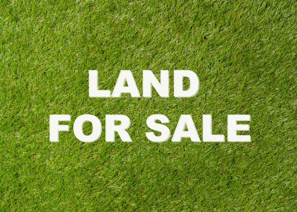 Everything You Need to Know About Buying Land to Build a Home